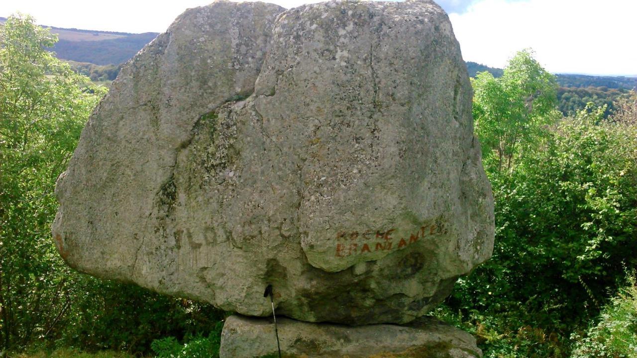 Coquelicot, Entre Volcans D Auvergne Et Sancy, Orcival. Extérieur photo