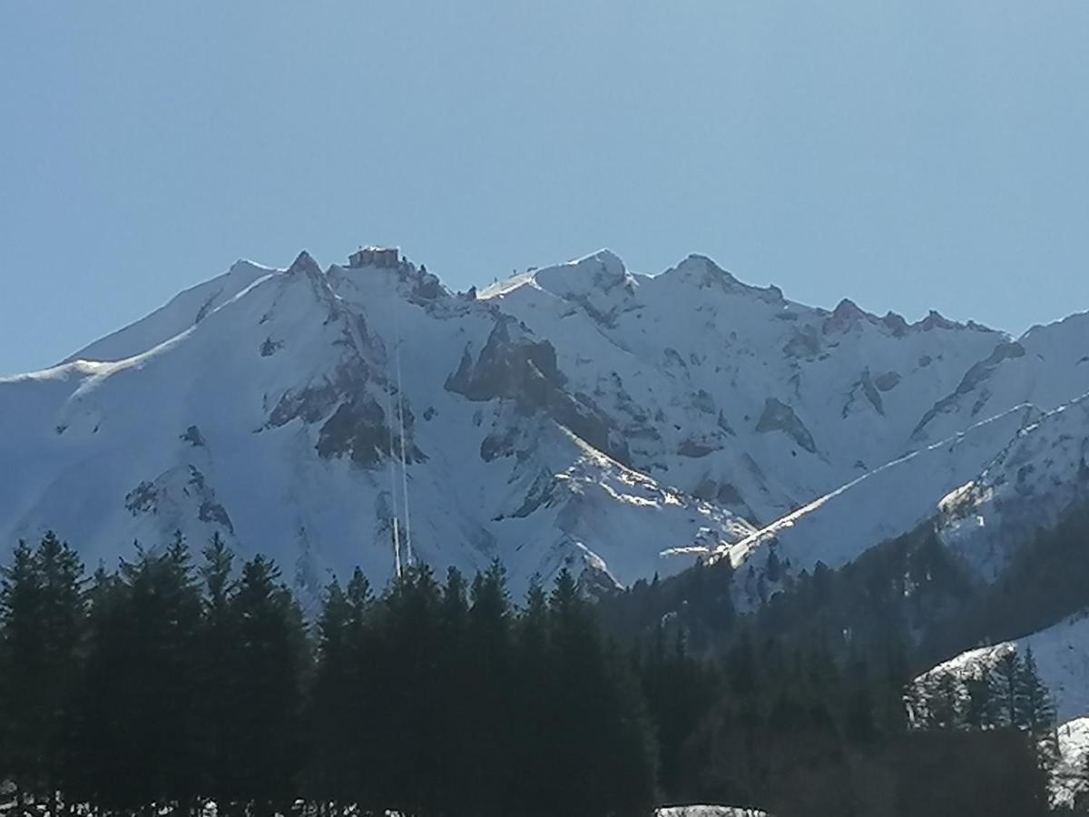Coquelicot, Entre Volcans D Auvergne Et Sancy, Orcival. Extérieur photo